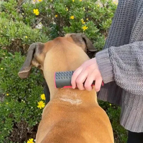 3-in-1-Bürste für Hunde und Katzen