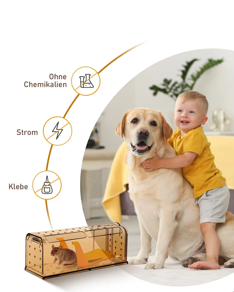 Mausefalle Lebend , Lebendfalle Maus, Wiederverwendbar, Tierfreundliche, Hochsensitive Quick Release, Kontakt mit Mäusen vermeiden - Gartenzubehör
