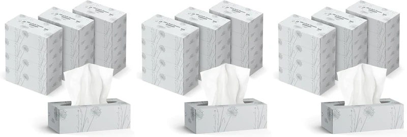 12 x 3-lagige Kosmetiktücher, 1080 Blatt, 12 Packungen à 90 Blatt