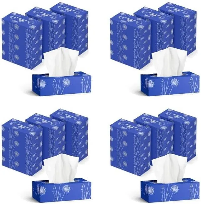 12 x 3-lagige Kosmetiktücher, 1080 Blatt, 12 Packungen à 90 Blatt