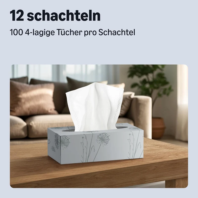 12 x 3-lagige Kosmetiktücher, 1080 Blatt, 12 Packungen à 90 Blatt