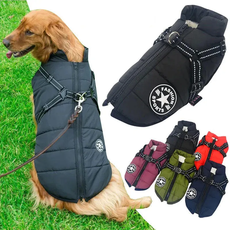 Daunenjacke für Hunde