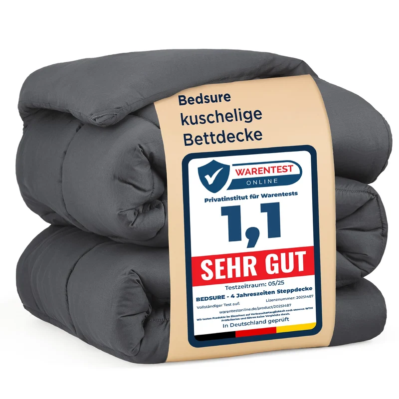 BEDSURE Bettdecke Ohne - Bettdecke für Allergiker, Warm & Gemütlich Ganzjahresdecke 300GSM Füllung, Waschbare Duvet für 4 Jahreszeiten, Grau/Hellgrau