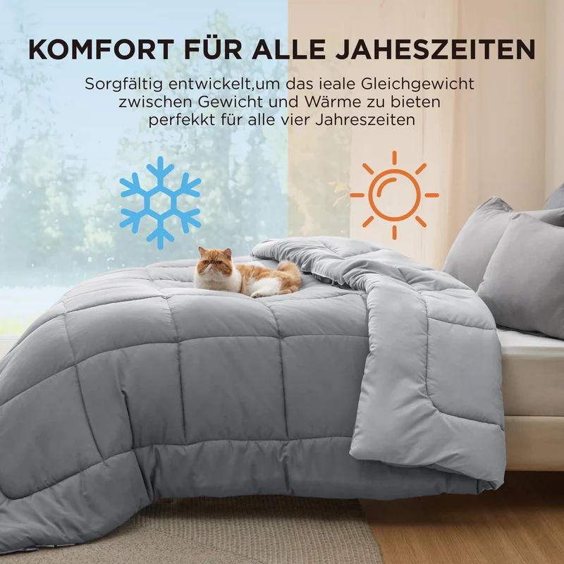 BEDSURE Bettdecke Ohne - Bettdecke für Allergiker, Warm & Gemütlich Ganzjahresdecke 300GSM Füllung, Waschbare Duvet für 4 Jahreszeiten, Grau/Hellgrau