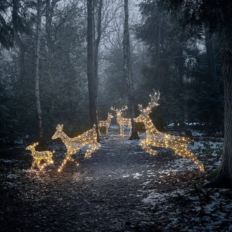 130 cm Harlow LED Rattan Rentier Figur Deer Timer Indoor und Outdoor Weihnachtsfigur Rentier Weihnachtsbeleuchtung Outdoor und Indoor Reindeer Outdoor Weihnachtsdekoration Outdoor