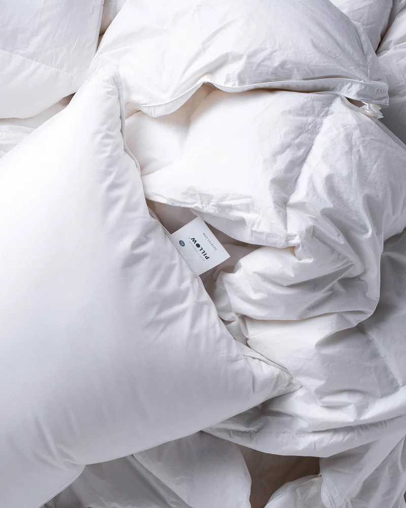 Dekbed Winter Premium Ganzendons