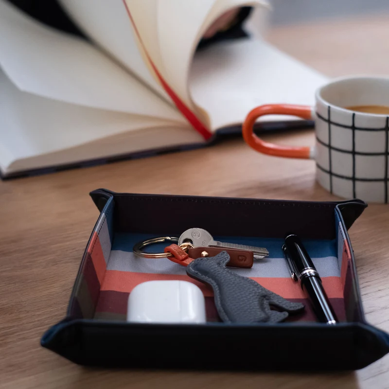 Multi Stripe Key Tray