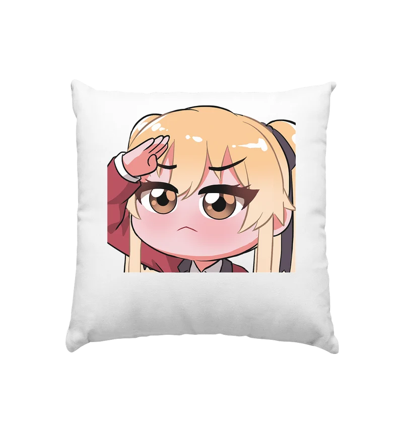 Miezchen O7 - Kissen 40x40cm
