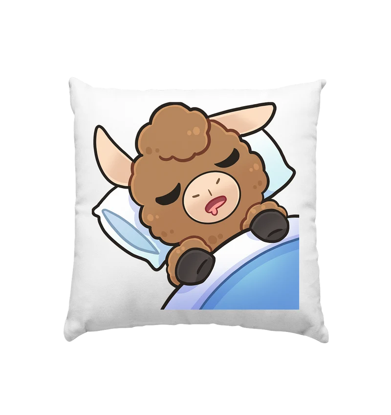 FlauschigTV Sleep - Kissen 40x40cm
