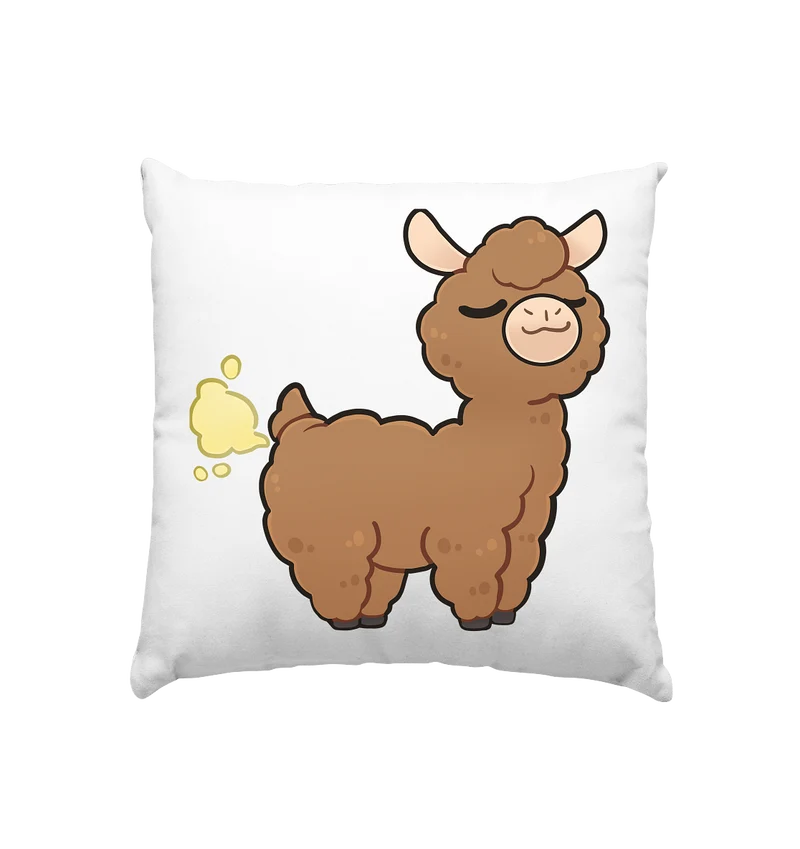 FlauschigTV Fart - Kissen 40x40cm
